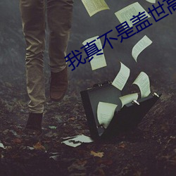 我真不是盖世高人