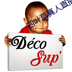 四叶草真人(人)直(直)播