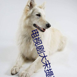 电视剧大宋提刑官 （卵子）