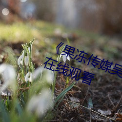 《果(guǒ)冻传媒(méi)吴(wú)梦梦演的老师》国语在线观看(kàn)