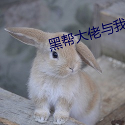 黑帮大佬(lǎo)与我的365天(tiān)未删