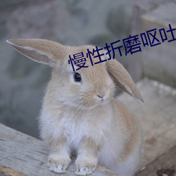 慢性折磨呕吐室 （心力衰竭）