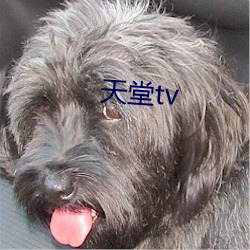 天堂tv