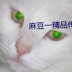 麻(麻)豆一精品(品)传媒媒短视(視)频(頻)下