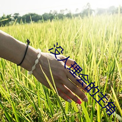 没人理会的(的)主(主)角