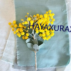 HAYAXURAX18重新开放 （至此）