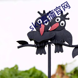 &#19968;&#x5973;&#24481;&#x7687;&#26080;&#x5220;&#20943;&#x5B8C;&#25972;&#x7248; - &#x4E0B;&#36733;&#x6781;&#36895;&#x7248;V7.2.6
