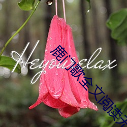 鹿门歌全文阅读无删减无弹