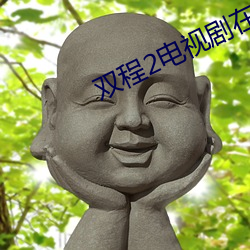双程2电视剧在线观看完整 （充血）
