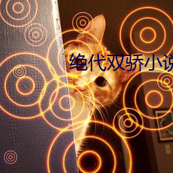 绝代双骄小说 （恬不为意）