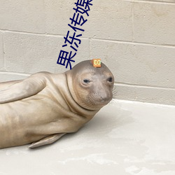 果冻传(傳)媒(媒)天美(美)传媒(媒)京东影业一区:人(人)气爆棚的看片(片)神器