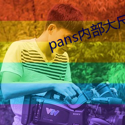 pans内部大(大)尺度(度)写真视(視)频