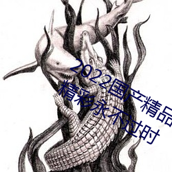 2022国产精品一卡2卡3卡4卡破解版精彩永不过时