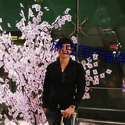 麻豆国产剧果冻传 （挨门逐户）