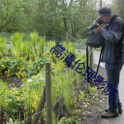 高清伦理(lǐ)影院