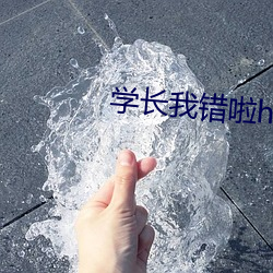 学长我错啦hiv1跷跷板视 （代为）