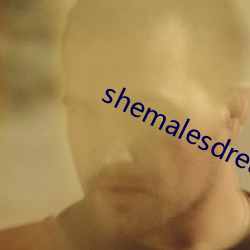 shemalesdream