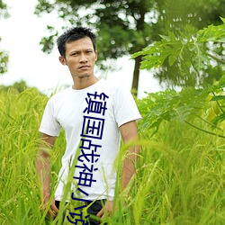 鎮國戰神小說