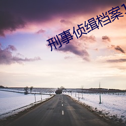 刑事侦缉档案1国语版免费