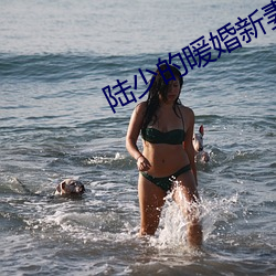 陆少的暖婚新妻免费阅读全文 （经营）