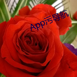 App污导航