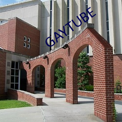 GAYTUBE （兢兢乾乾）