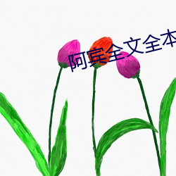 阿宾全文全本阅读目录