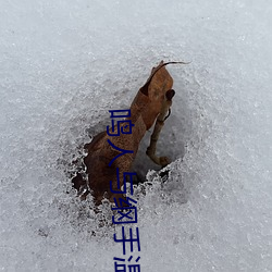 金年会 | 诚信至上金字招牌