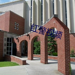 红警视频
