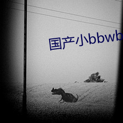 國産小bbwbbwbbwvide