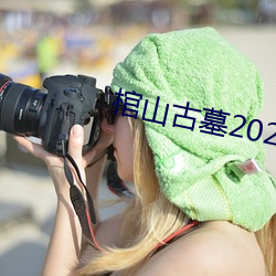 棺山古墓2022电影免费观看