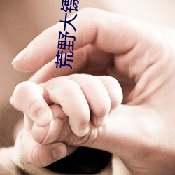 金年会 | 诚信至上金字招牌