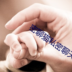 密聊猫私密(密)聊天软件(件)