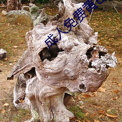 成人免費黃色