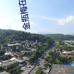 金(金)瓶(瓶)梅(梅)在线(線)播放版(版)免费全集(集)