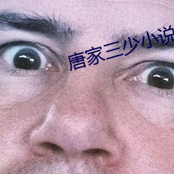 唐家(家)三(三)少小说