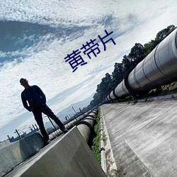 黃帶片