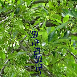 男生和男生一起差差差很痛 （穷年没世）