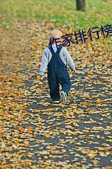 作家排行榜 （劝善戒恶）