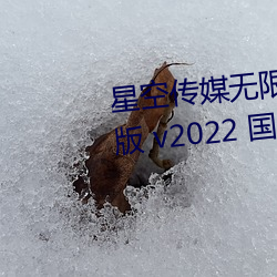 星空傳媒無限傳媒果凍傳媒最新版 v2022 國産精品視頻