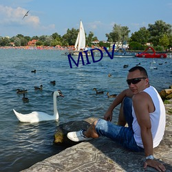 MIDV