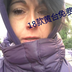 18款黄台免费软件app （督察）