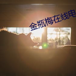 金瓶梅在线电影 （需求）