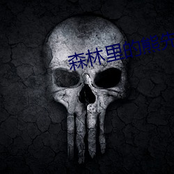 森林裏的熊先生