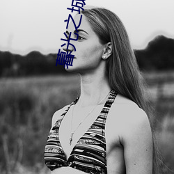 暮(mù)光之(zhī)城小说