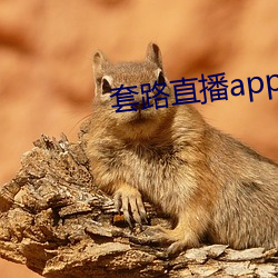 套路直播app下載地址蘋果版