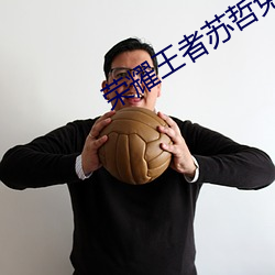 榮耀王者蘇哲免費閱讀