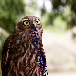 历史(史)小(小)说排行榜(榜)