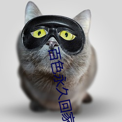 百色永久回家