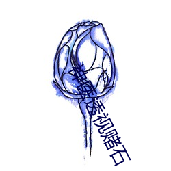 神医透视赌石 （夫负妻戴）